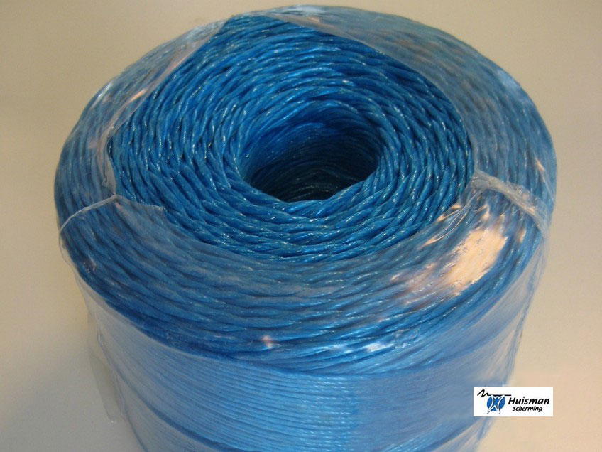 carnation tension cord - blue